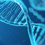 Utero Gene therapy