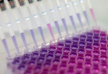 Frazier SPAC is in talks with NewAmsterdam Pharma to merge